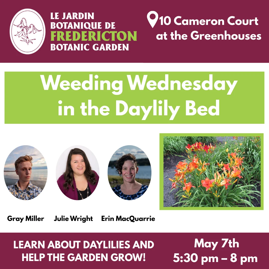 Weeding Wednesday poster