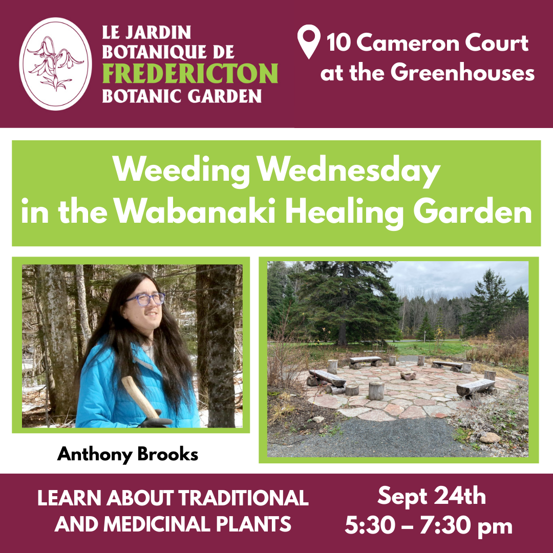 Weeding Wednesday Sept. 24