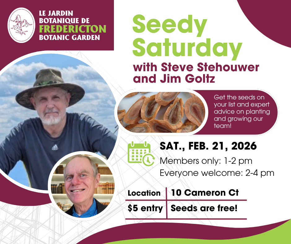 Seedy Saturday Poster