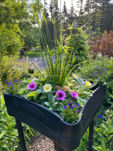 An elevated planter